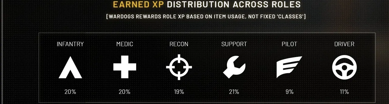 A strip of six role icons with percentages: Infantry 20, Medic 20, Recon 19, Support 21, Pilot 9, Driver 11.